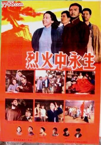 职业资格证书算学历吗